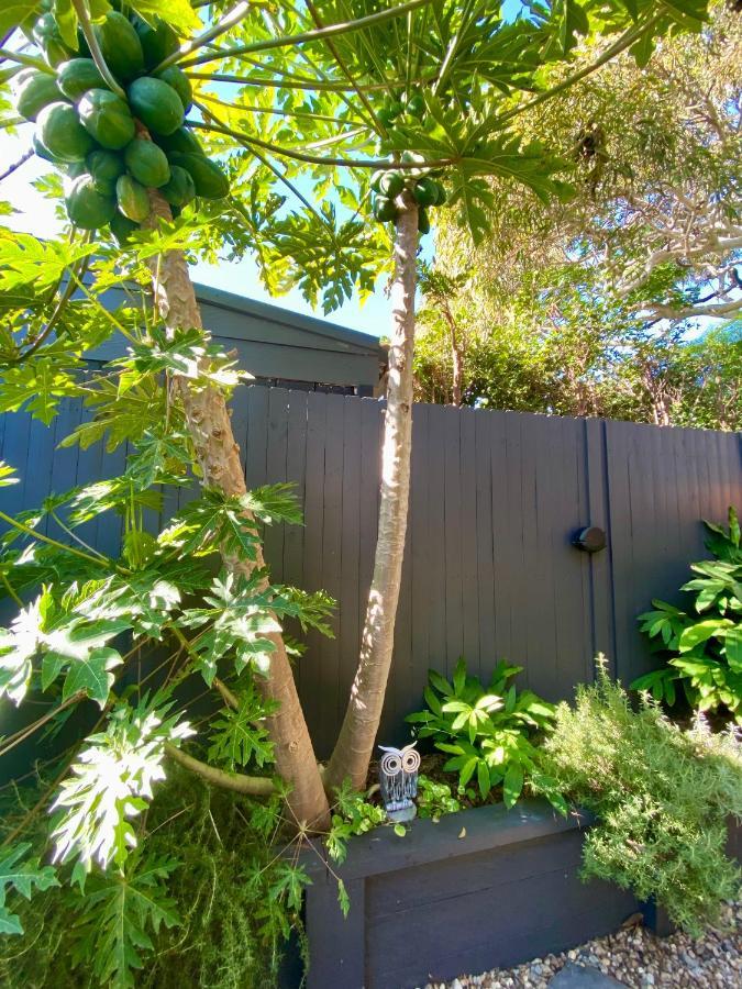 The Mitchell Bondi Garden 4 Apartment Sydney Ngoại thất bức ảnh